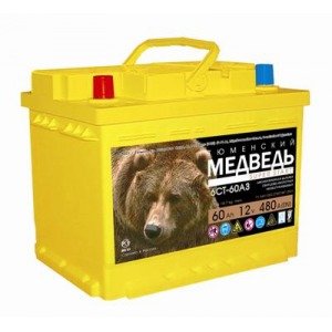 Тюменский Медведь 6СТ-100 АПЗ 