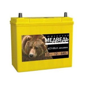 Тюменский медведь 6CT-55АПЗ (65B24),55 а/ч